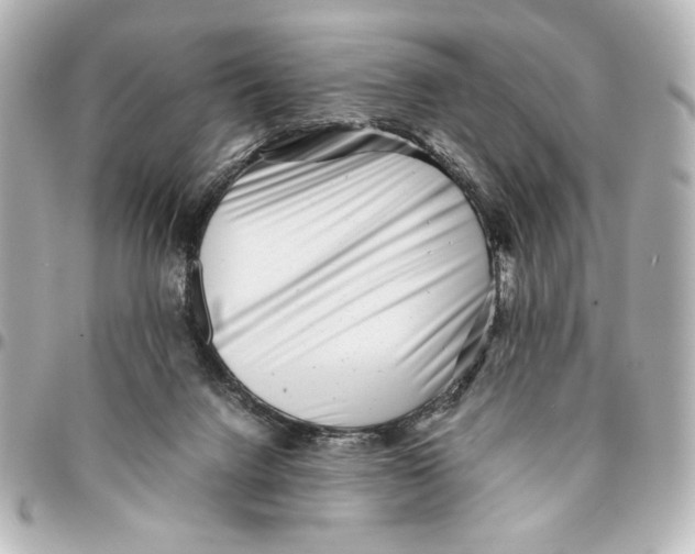 X0000094930072200712201102