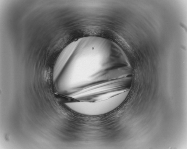 X0000094930073200712201102