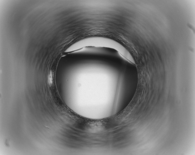 X0000094930075200712201102