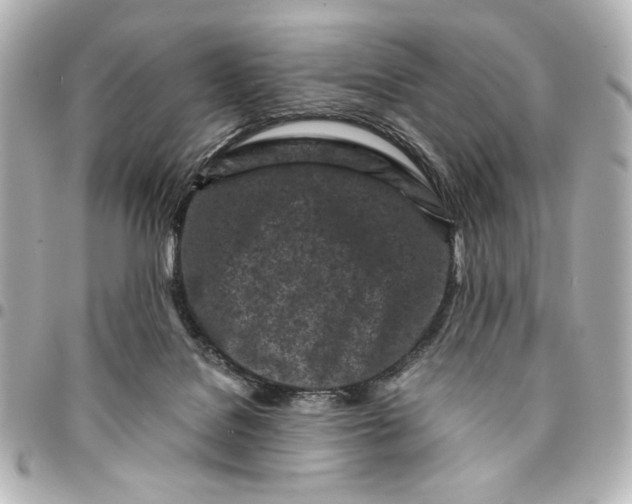 X0000094930076200712201102