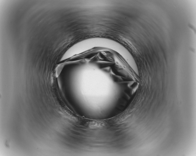 X0000094930077200712201102