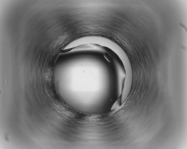 X0000094930078200712201102