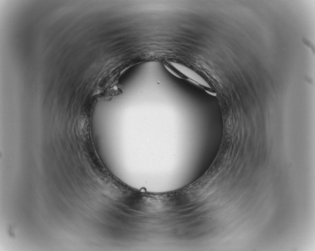 X0000094930079200712201102