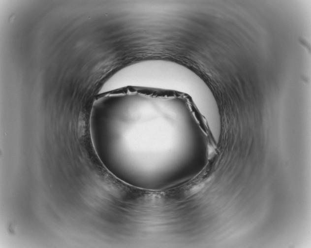 X0000094930080200712201102