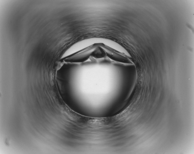 X0000094930082200712201102