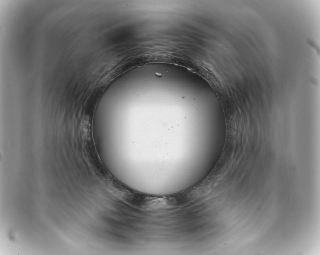 X0000094930083200712201102