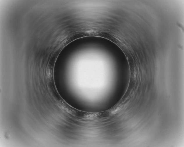 X0000094930084200712201102