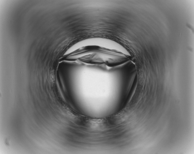 X0000094930085200712201102
