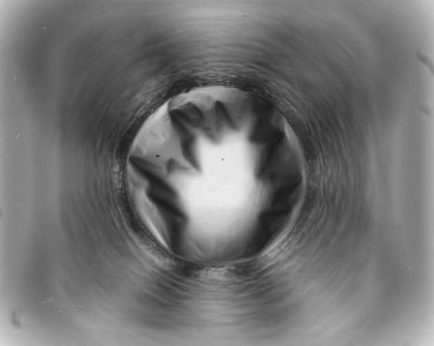X0000094930086200712201102