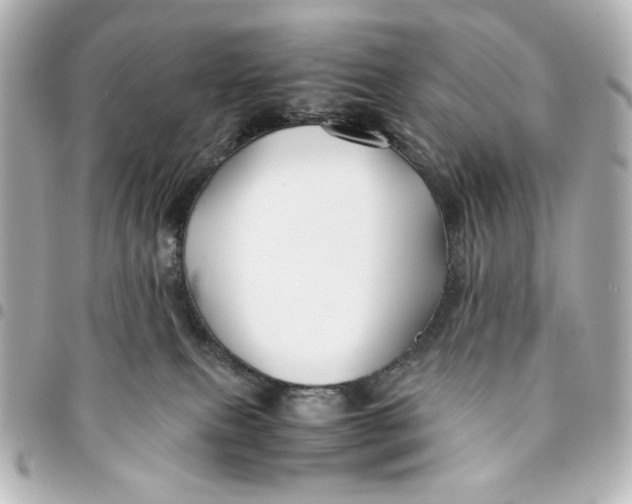 X0000094930087200712201102