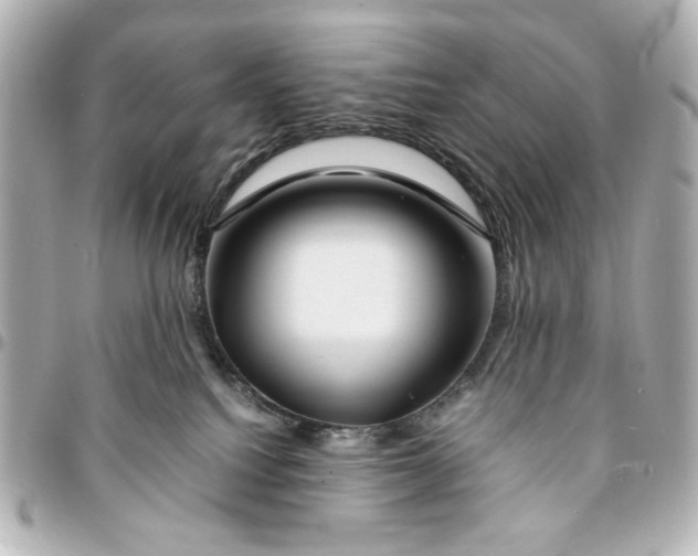 X0000094930088200712201102