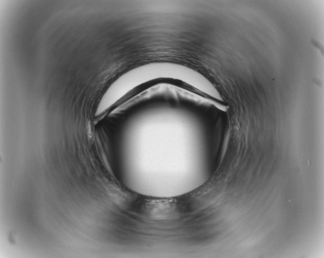 X0000094930089200712201102