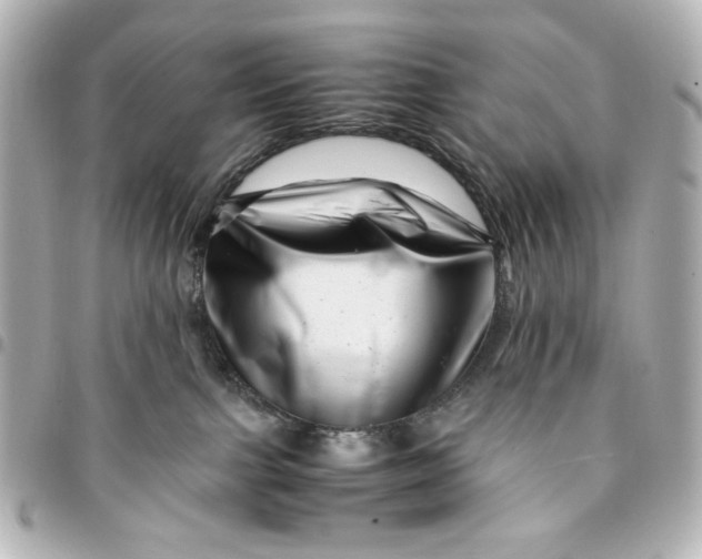 X0000094930091200712201102