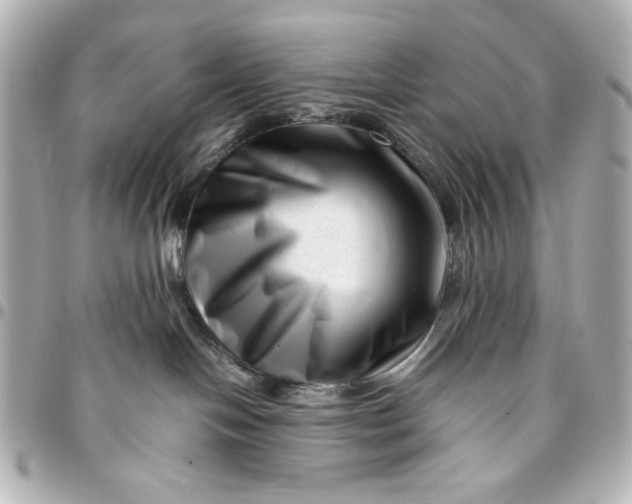 X0000094930094200712201102
