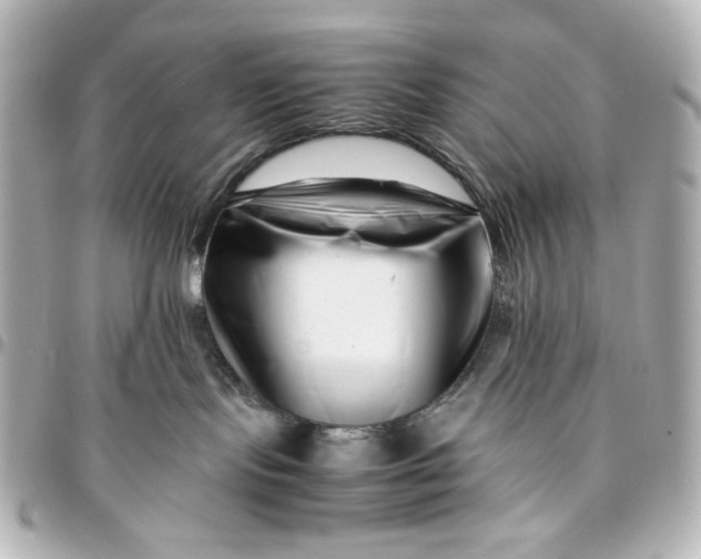 X0000094930095200712201102