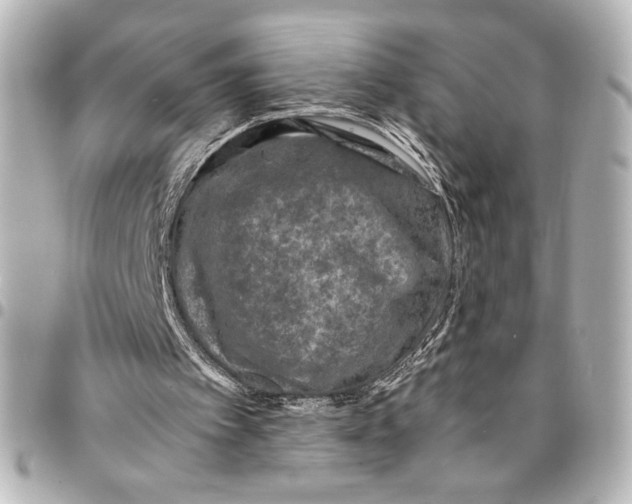 X0000094930097200712201101