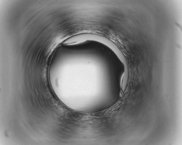 X0000094930098200712201101
