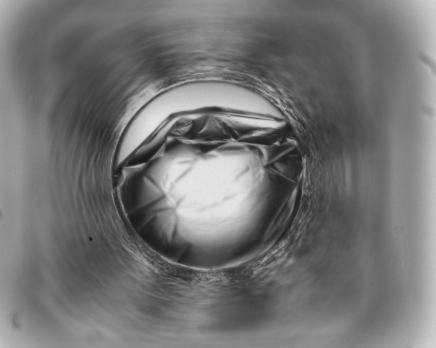 X0000094930099200712201101