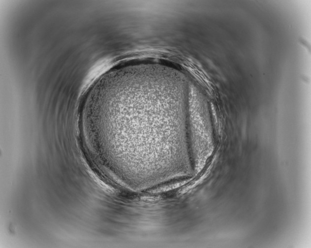 X0000094930101200712201101