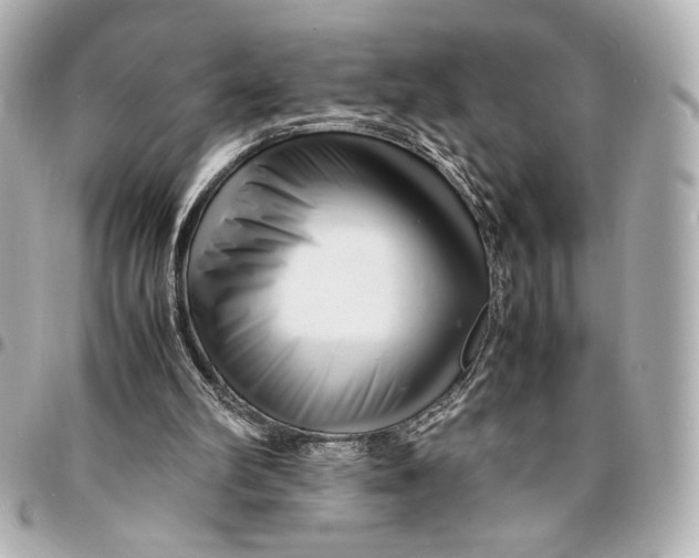 X0000094930102200712201101