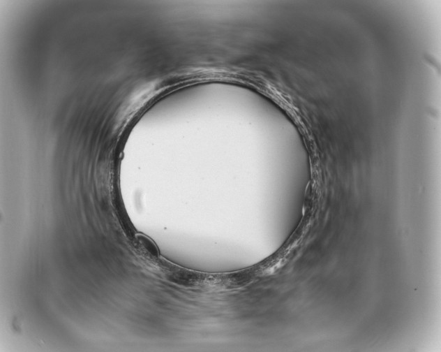 X0000094930103200712201101