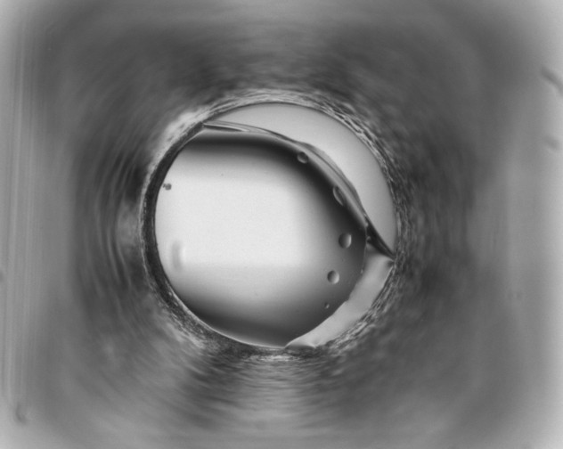 X0000094930104200712201101