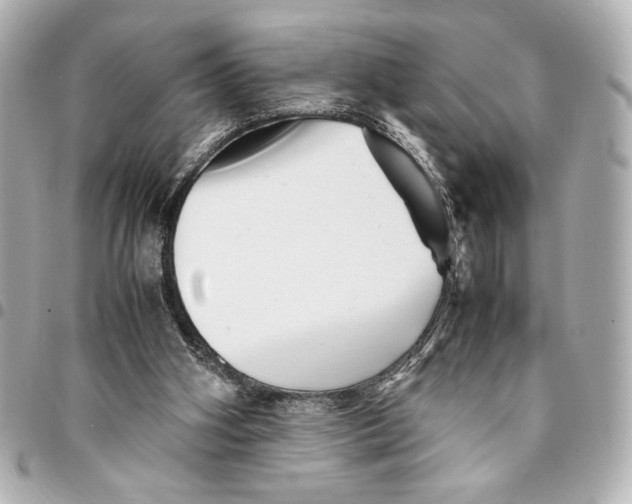 X0000094930106200712201101