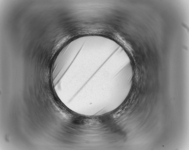 X0000094930107200712201101
