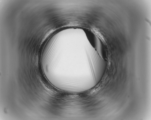 X0000094930108200712201101