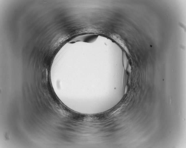 X0000094930109200712201101