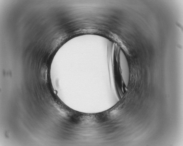 X0000094930110200712201101