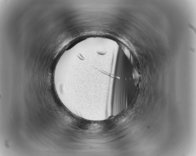 X0000094930111200712201101
