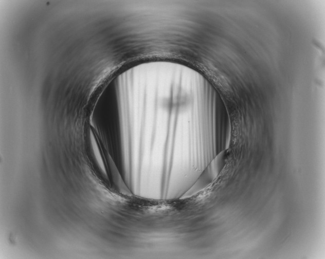 X0000094930112200712201101