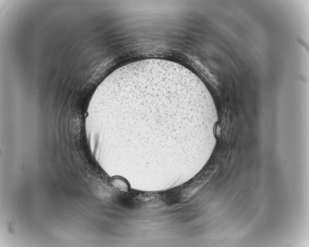 X0000094930113200712201101