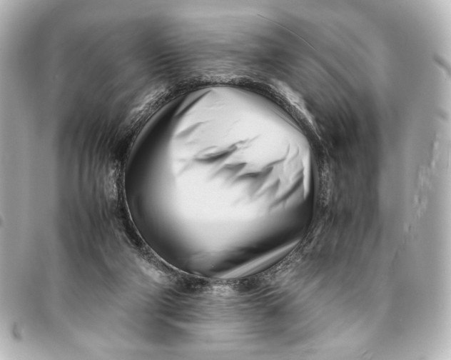 X0000094930114200712201101