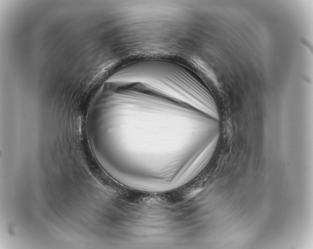 X0000094930115200712201101
