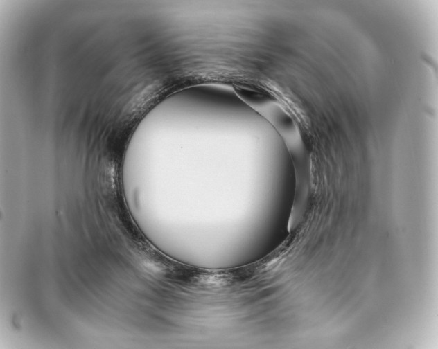 X0000094930117200712201101