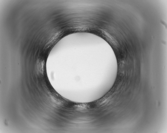 X0000094930118200712201101