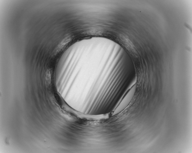 X0000094930120200712201101