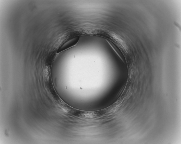 X0000094930121200712201101