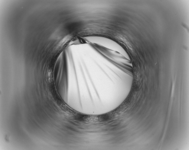 X0000094930123200712201101