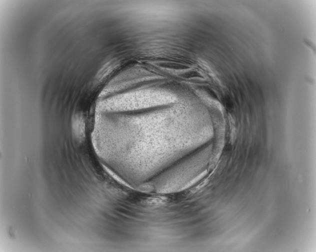 X0000094930124200712201101