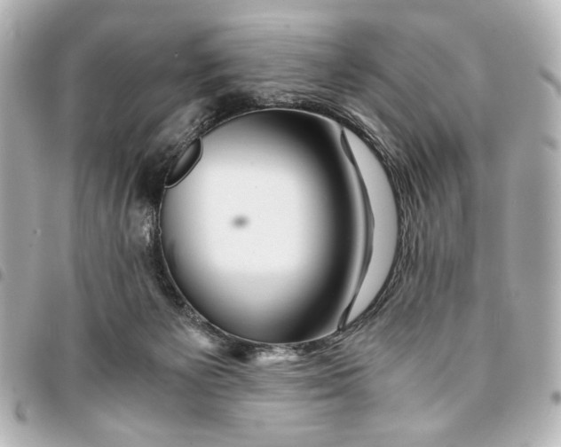 X0000094930125200712201101