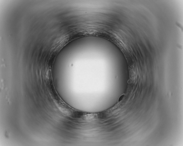 X0000094930126200712201101