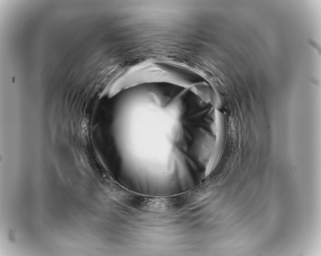 X0000094930127200712201101
