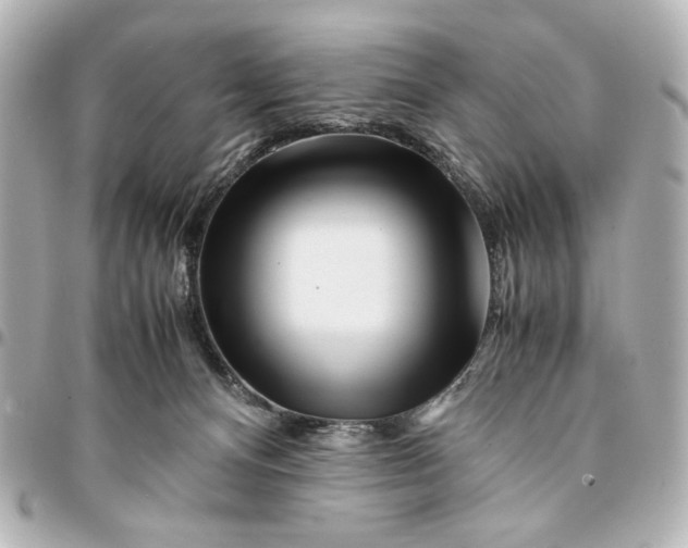X0000094930128200712201101