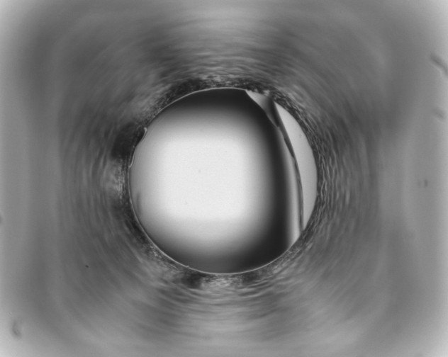 X0000094930129200712201101