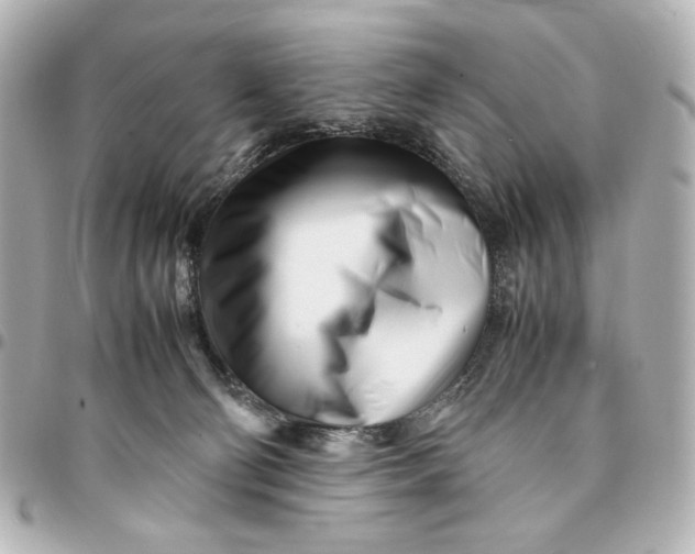 X0000094930130200712201101