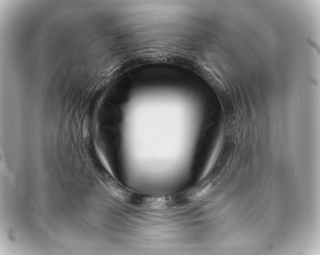 X0000094930131200712201101