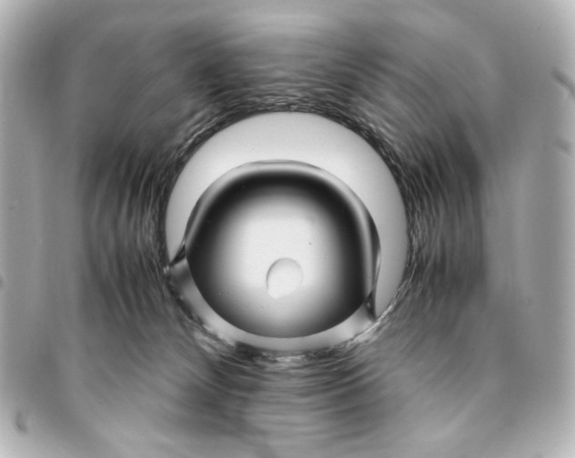 X0000094930132200712201101
